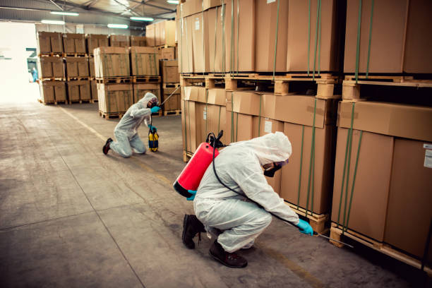 Best Best Pest Control Companies  in Stottville, NY