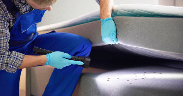 Best Pest Control Near Me  in Stottville, NY