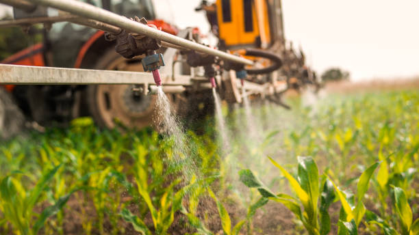 Reliable Stottville, NY Pest Control Solutions